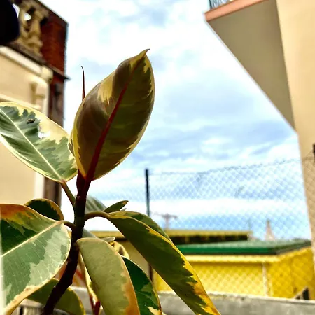 Casa Dolce Vita, *